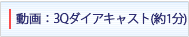 3Qダイアキャスト(約1分)