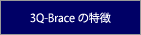 3Q-Brace̓